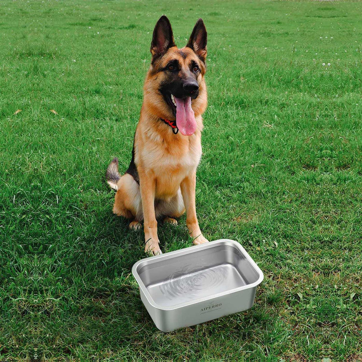 Stainless Steel Dog Bowls V257367