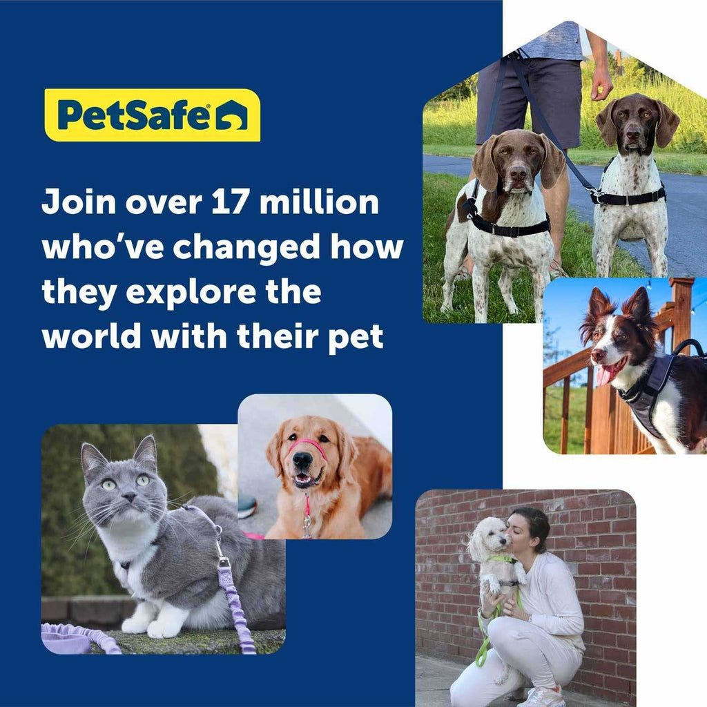Dog Harness V4157