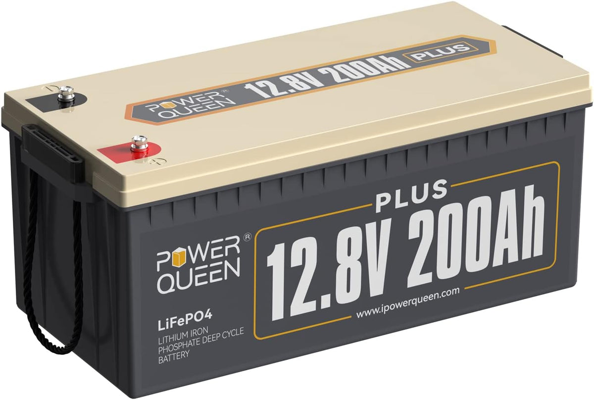 25.6V 100Ah 2.56kWh Deep Cycle LiFePO4 Battery with 100A BMS H164346