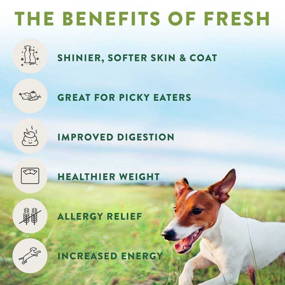 Grain Free Chicken Dog Food G8904
