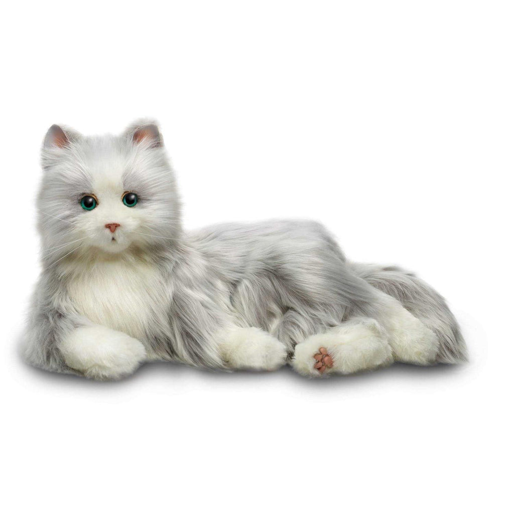 Companion Pet Cat Q105566