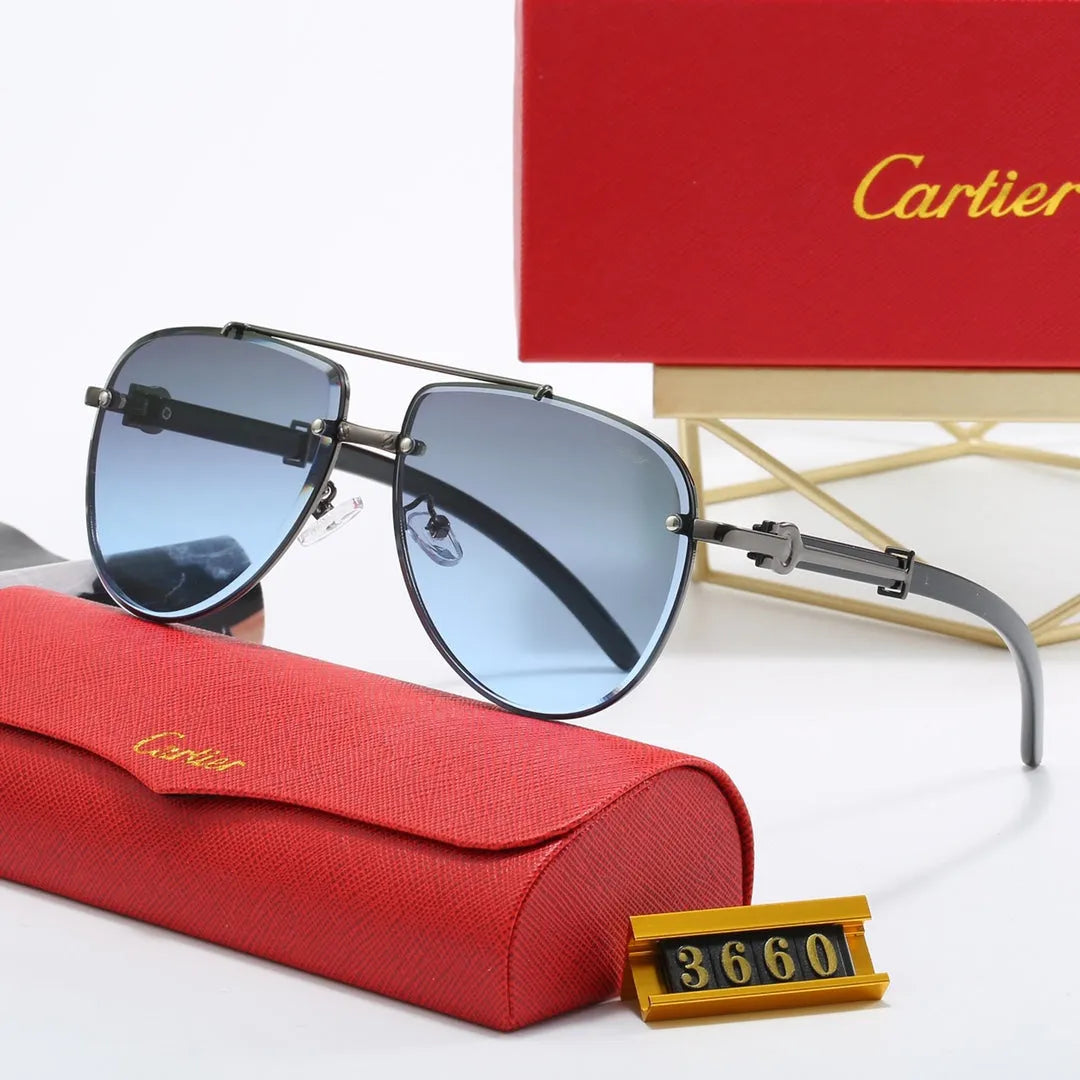 CAR Polarized Sunglasses V8916
