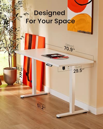 48 x 24 Inches Height Adjustable Electric Standing Desk with Memory Y52397