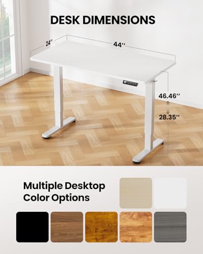 48 x 24 Inches Height Adjustable Electric Standing Desk with Memory Y52397