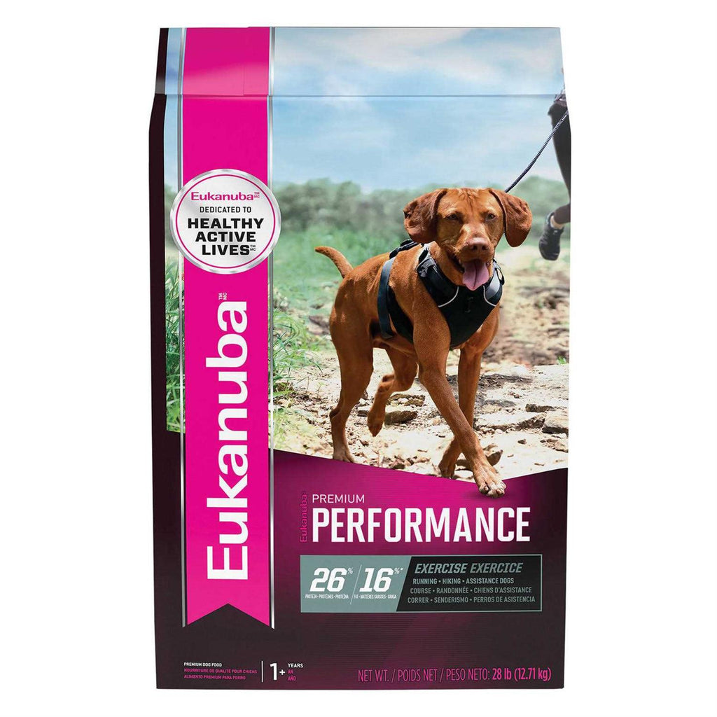 Dry Dog Food T4537