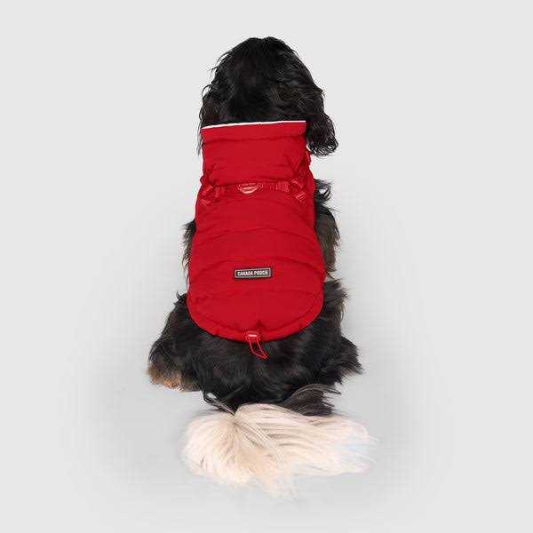 Black Puffer Harness V989284