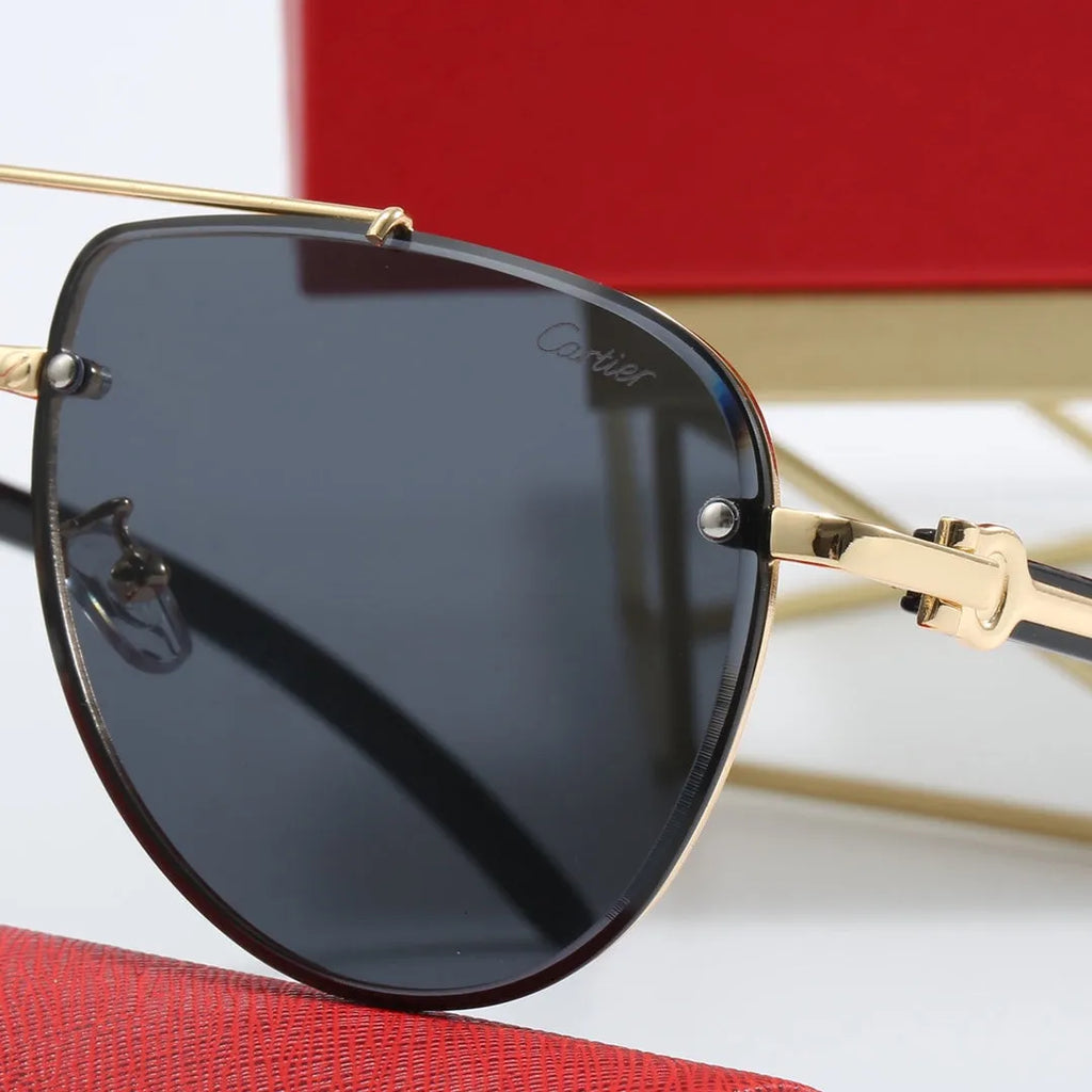CAR Polarized Sunglasses V8916