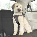 Easy Rider Car Harness Q78042