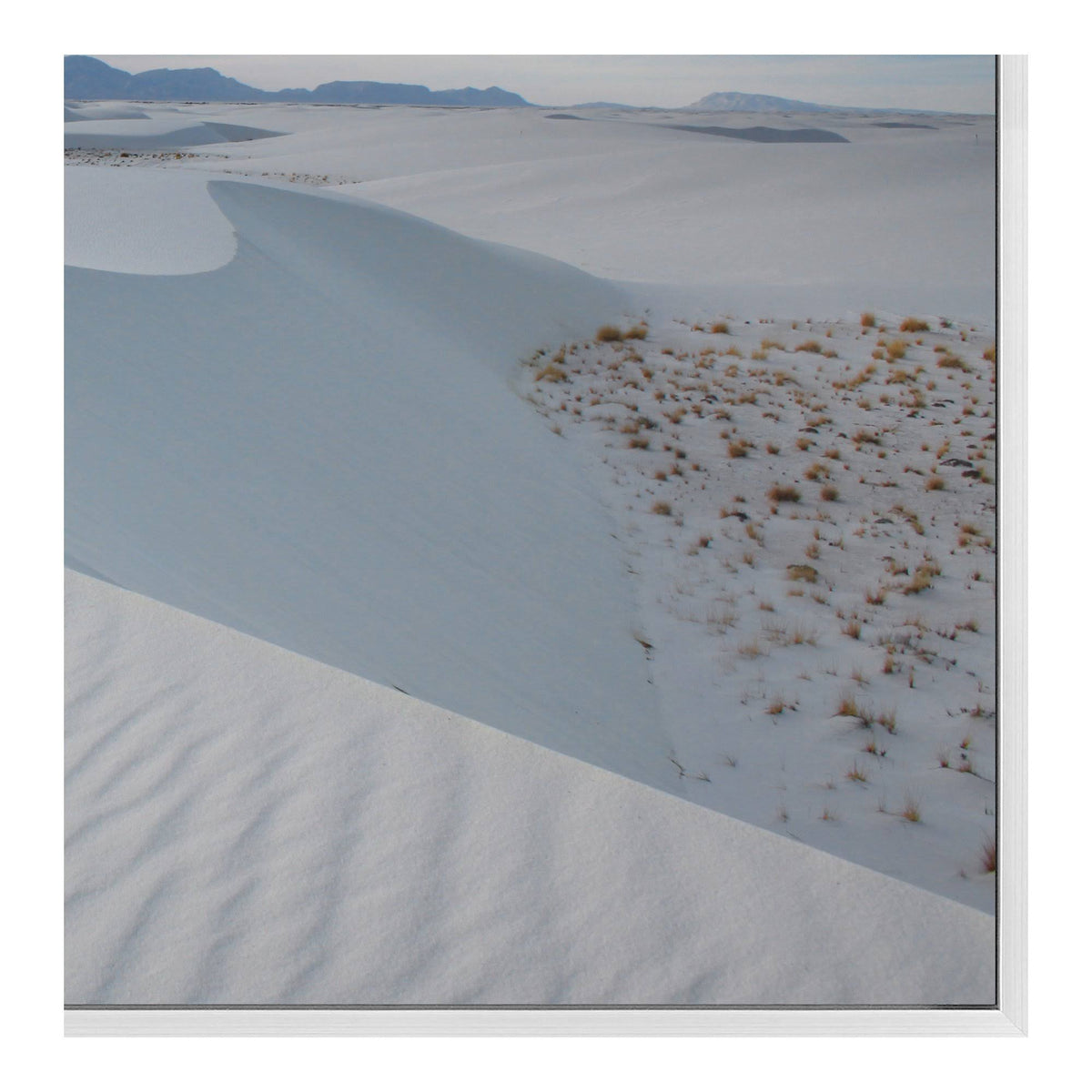 Sahara Wall Decor M5846