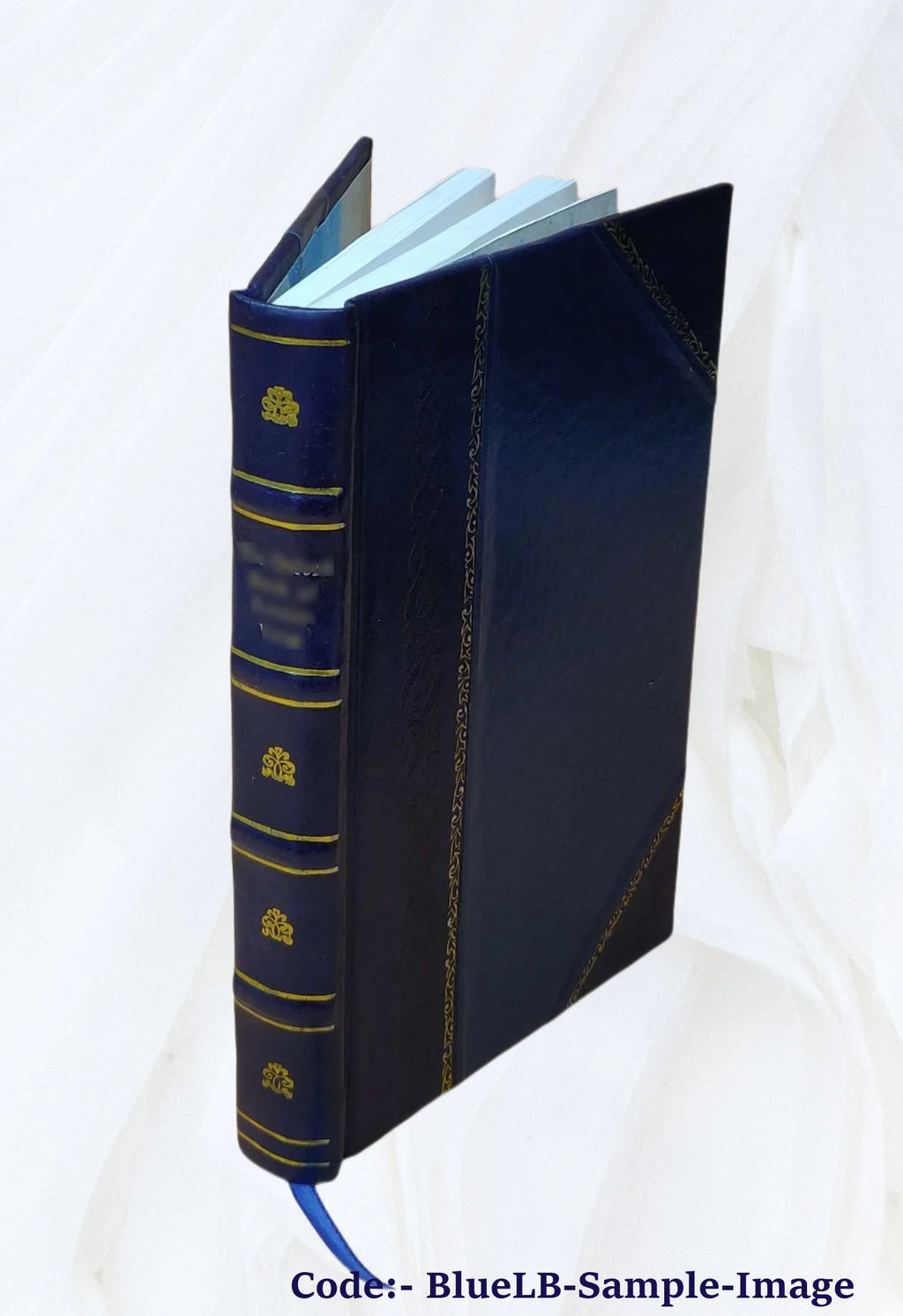 Leather Bound Book B625548