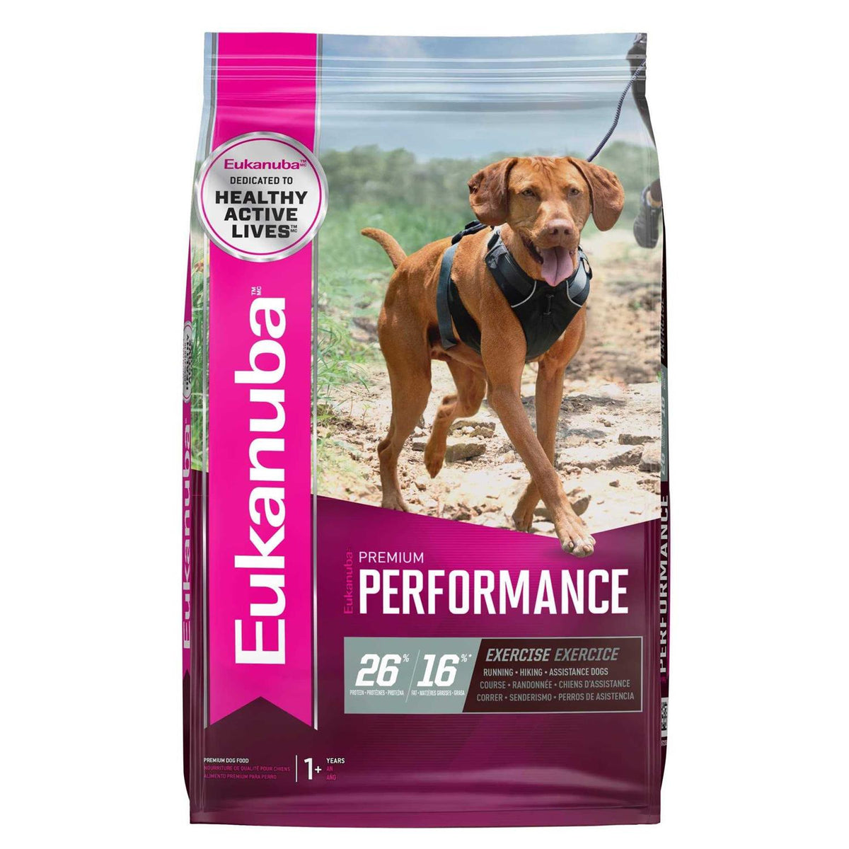 Dry Dog Food T4537