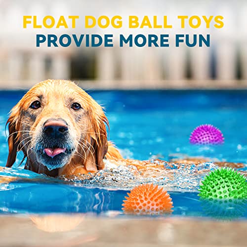4.5'' Squeaky Dog Toy Balls, Spiky Dog Balls, Durable Puppy Chew Toys, BPA Free Non-Toxic (Purple) L960432