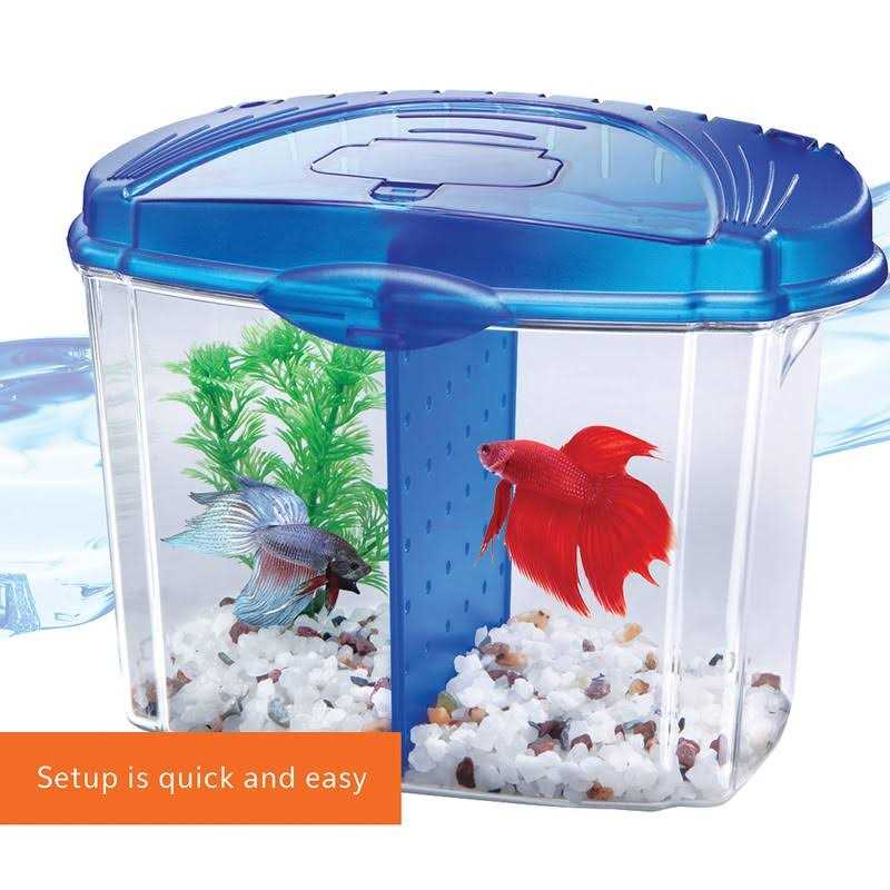 Betta Bowl Kit J955
