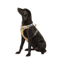 Lightweight Dog Harness I426