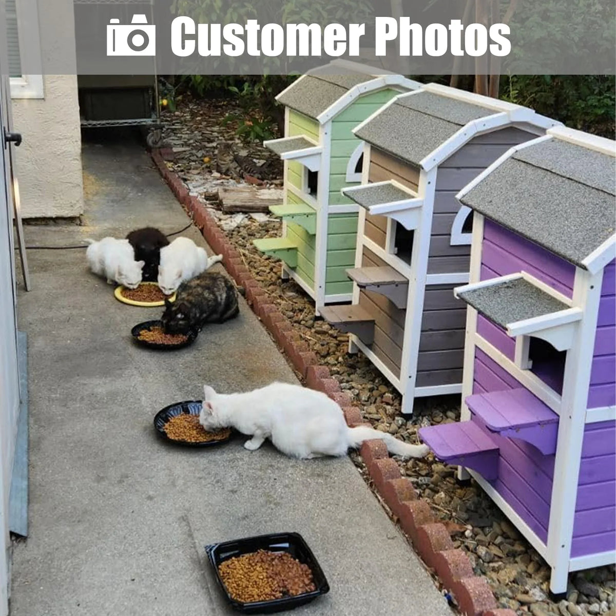 Weatherproof Two Story Wooden Outdoor Cat House I9232