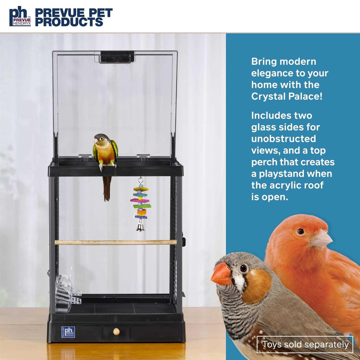 Bird Cage P5215