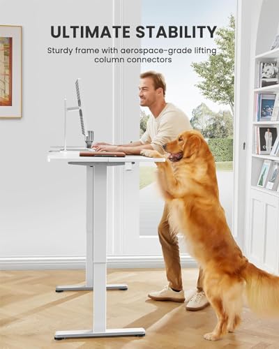 48 x 24 Inches Height Adjustable Electric Standing Desk with Memory Y52397