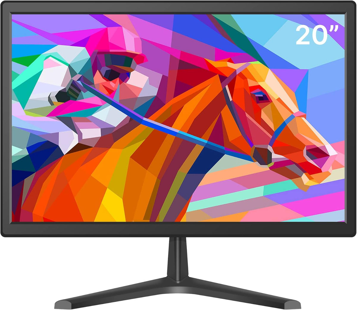 20 Inch LED Computer Display Monitor with Built-in Speaker F334069
