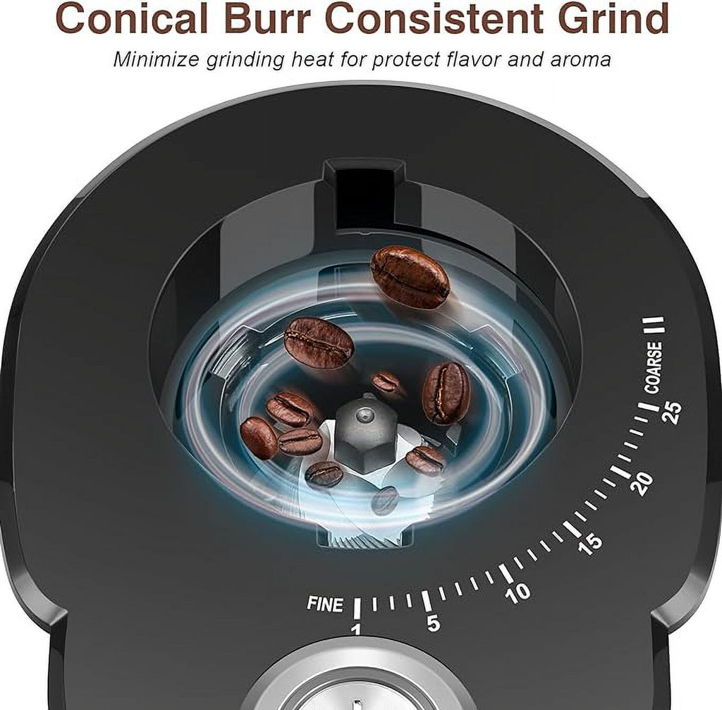 Stainless Steel Electric Conical Burr Coffee Grinder Y430041