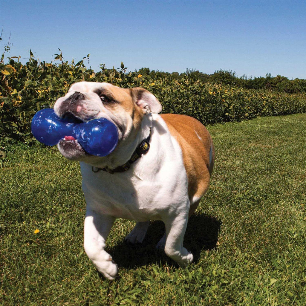 Squeezz Dumbbell Dog Toy V235238
