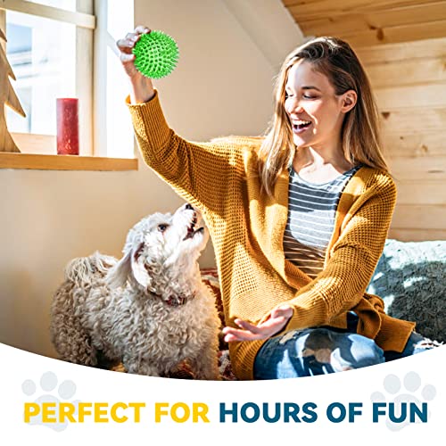 4.5'' Squeaky Dog Toy Balls, Spiky Dog Balls, Durable Puppy Chew Toys, BPA Free Non-Toxic (Purple) L960432