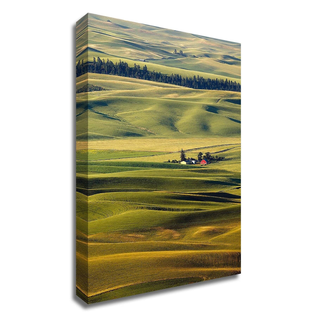 Canvas Print D9502