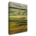 Canvas Print D9502