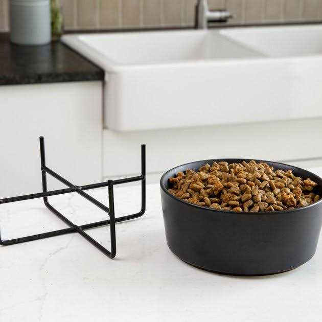 Solid Dog Bowl Stand L66523