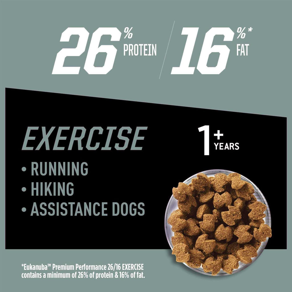 Dry Dog Food T4537
