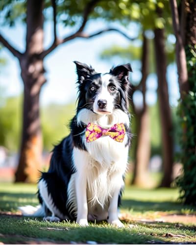 10 Pack Holiday Dog Bow Ties H890550