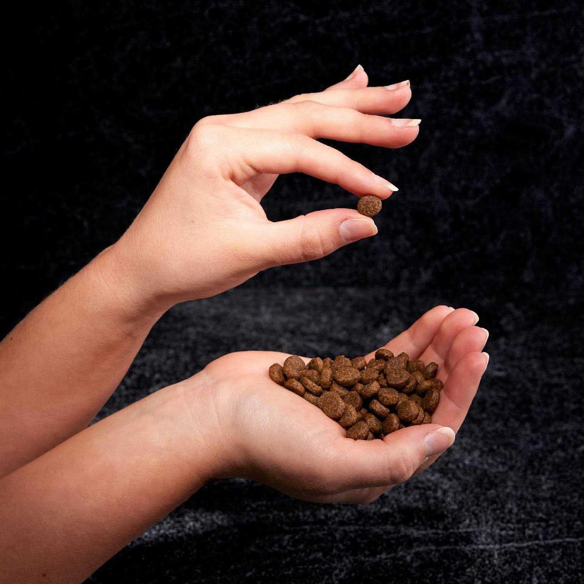 Grain Free Adult Dry Dog Food with Protein E845803