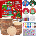 20 Pcs Natural Round Wood Slices Craft Kit Z799