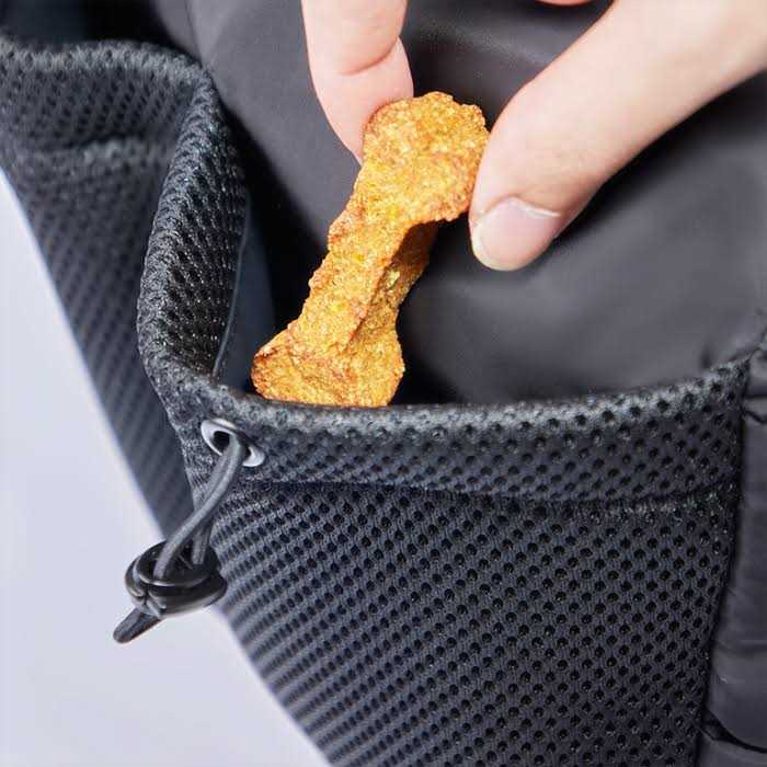 Dog Walking Bag I95241