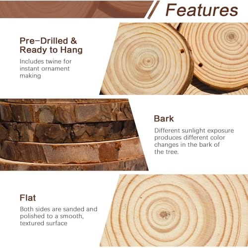 20 Pcs Natural Round Wood Slices Craft Kit Z799