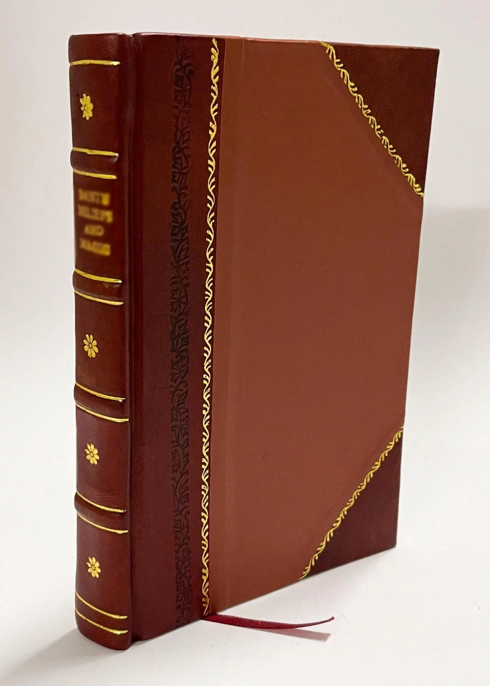 Memoir Leather Bound Z324