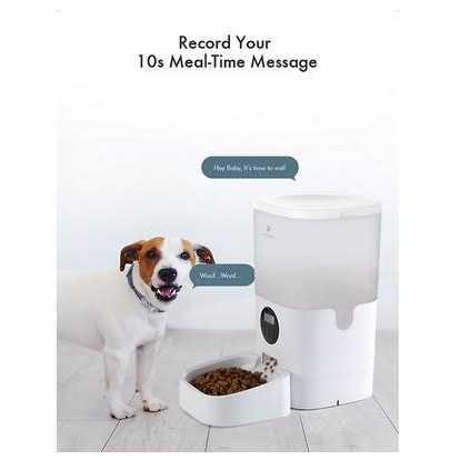 Automatic Dog Cat Feeder N4030