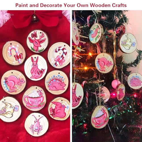 20 Pcs Natural Round Wood Slices Craft Kit Z799