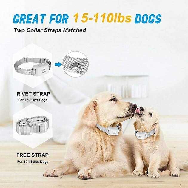 Anti-Bark Training Dog Collar U991324