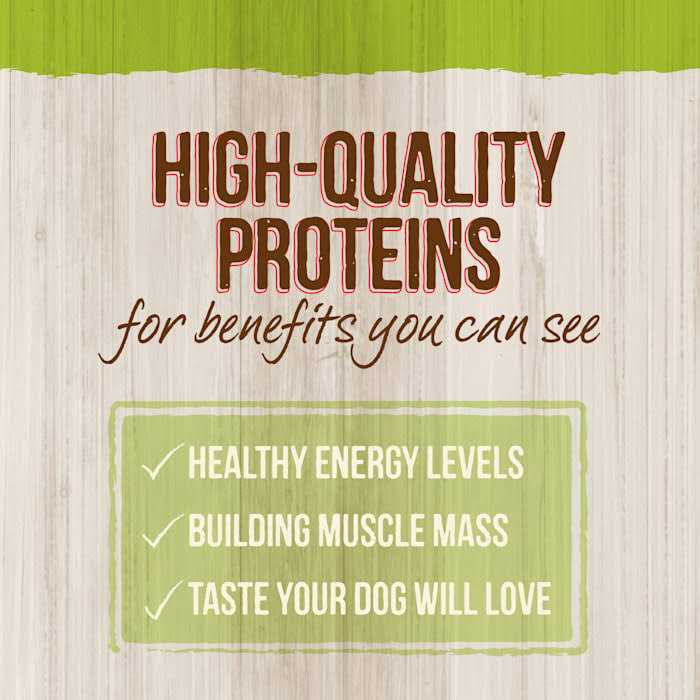 Lamb Green Peas Ancient Grains Dry Dog Food S43997