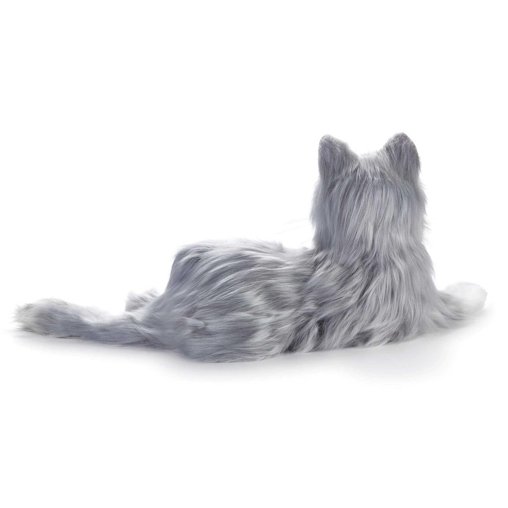 Companion Pet Cat Q105566