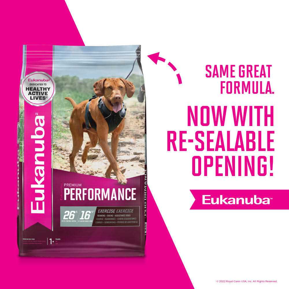 Dry Dog Food T4537