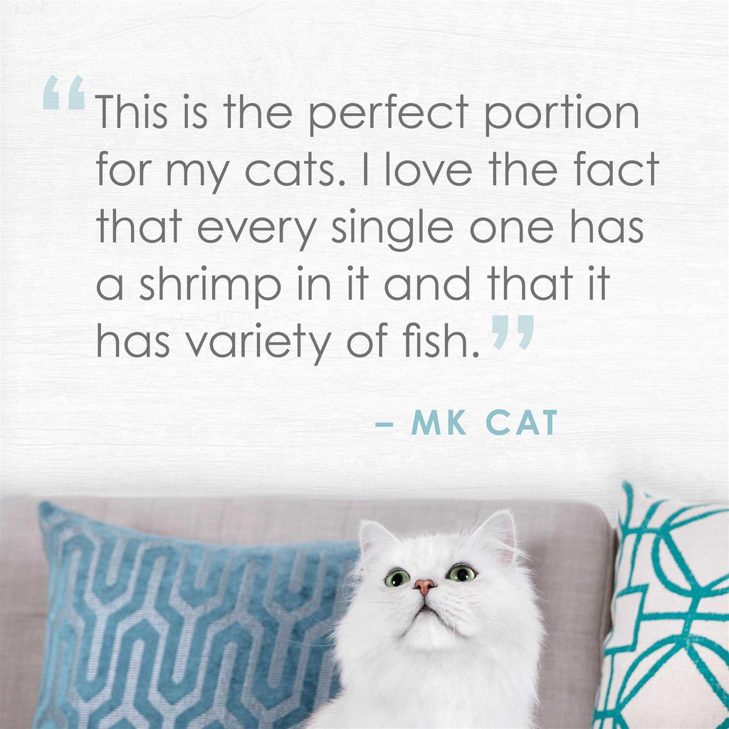 Natural Seabass & Shrimp in Broth Cat Food A2748