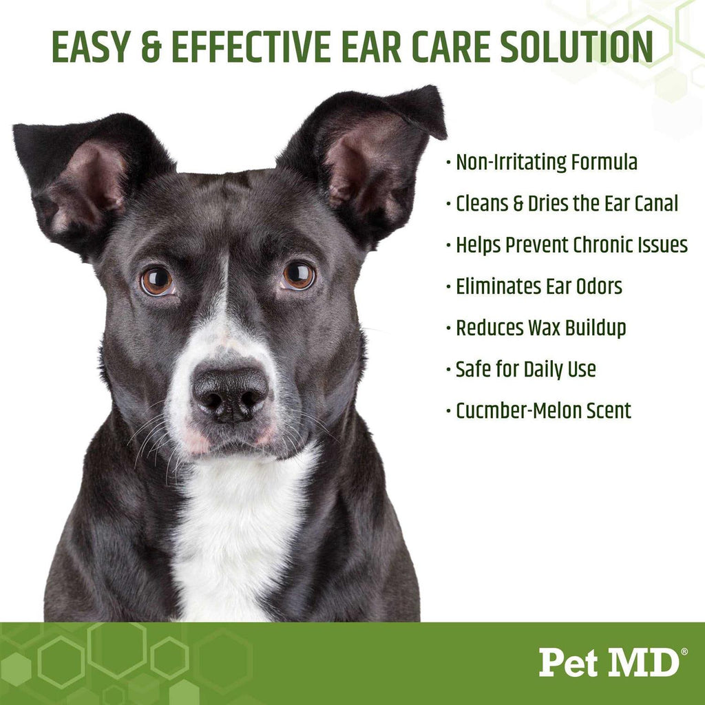 Aloe & Eucalyptus Dog Ear Wipes Q5215