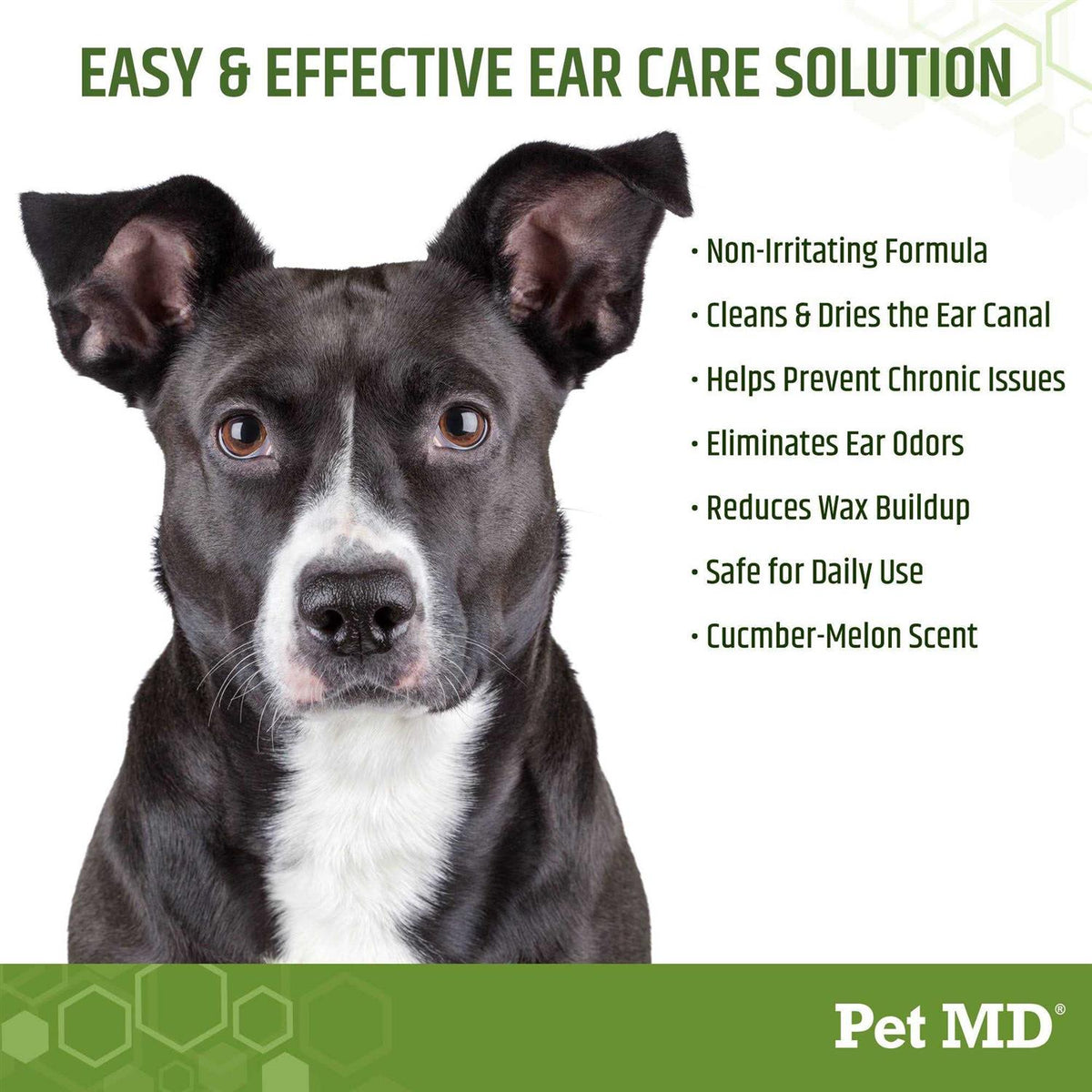Aloe & Eucalyptus Dog Ear Wipes Q5215