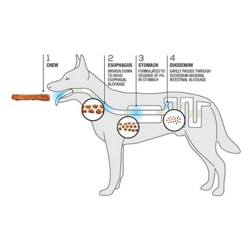 Dog Chews + Collagen Recipe D39872
