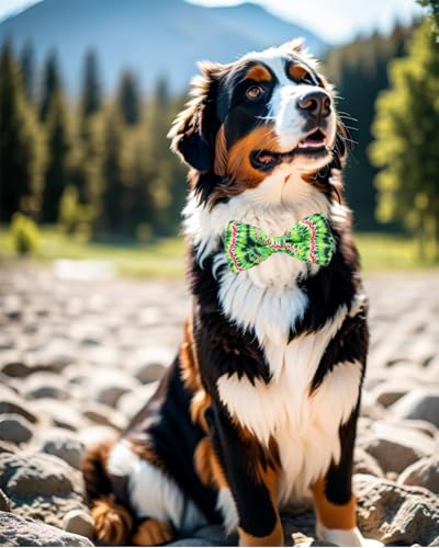 10 Pack Holiday Dog Bow Ties H890550