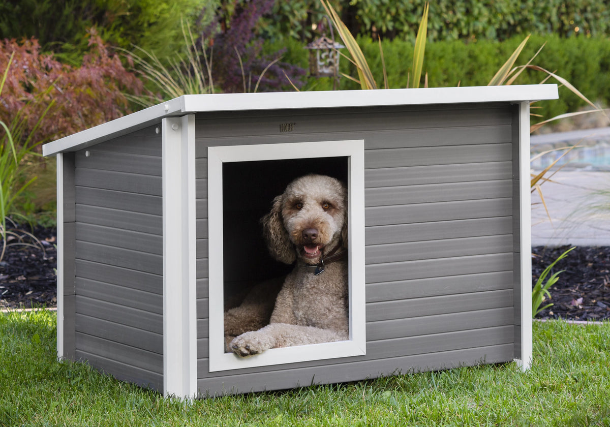X-Large Gray Dog House K168
