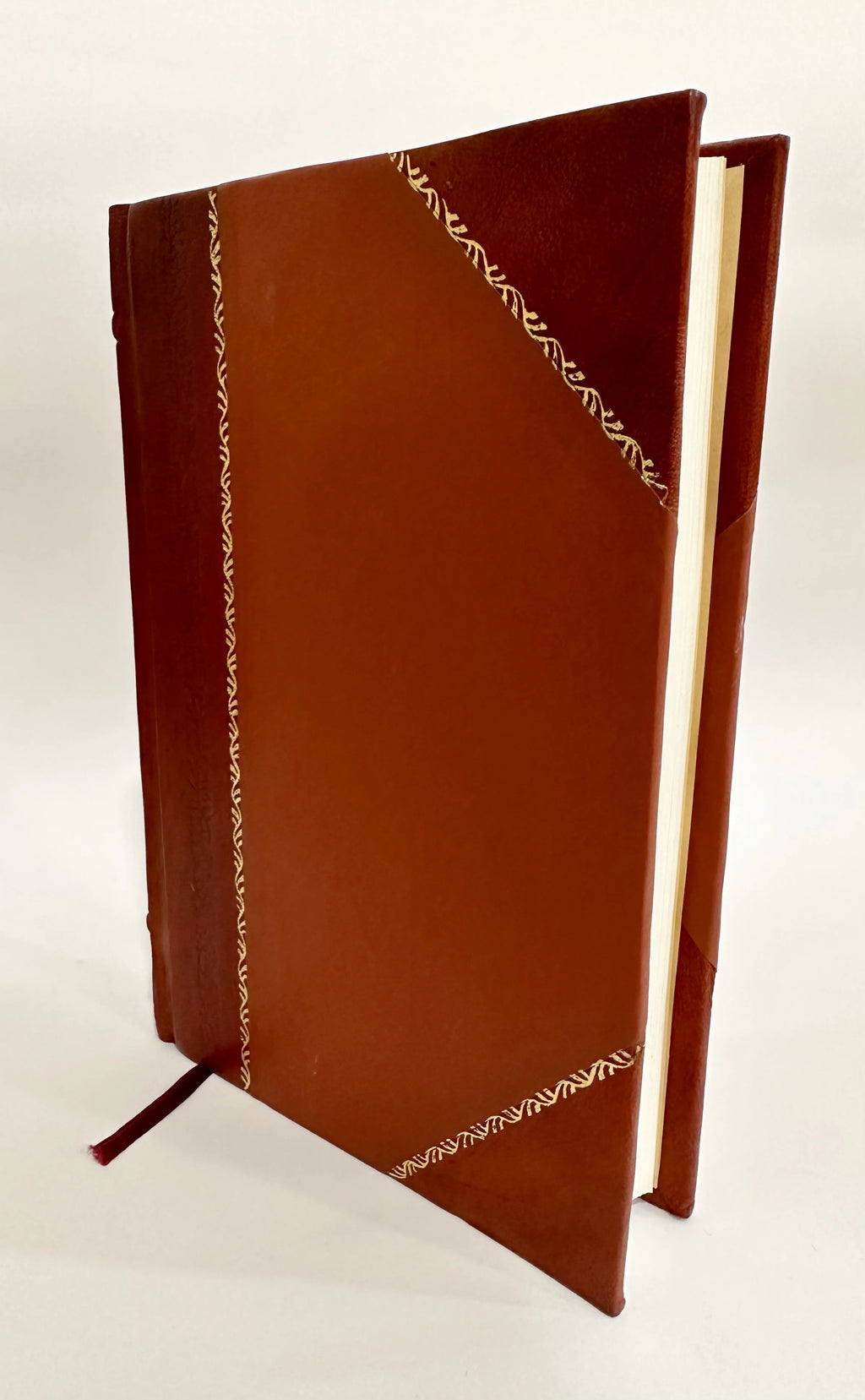 Memoir Leather Bound Z324