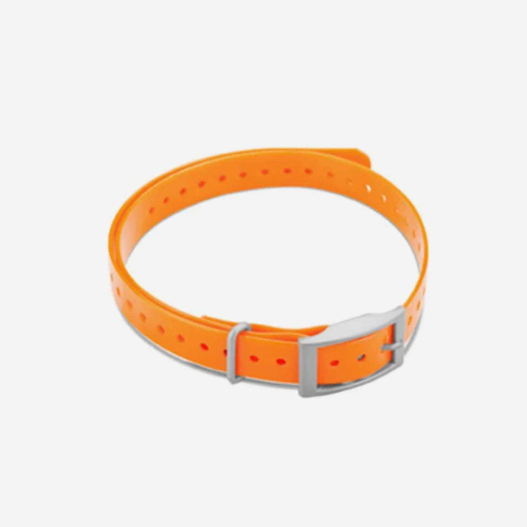 Collar Strap T986