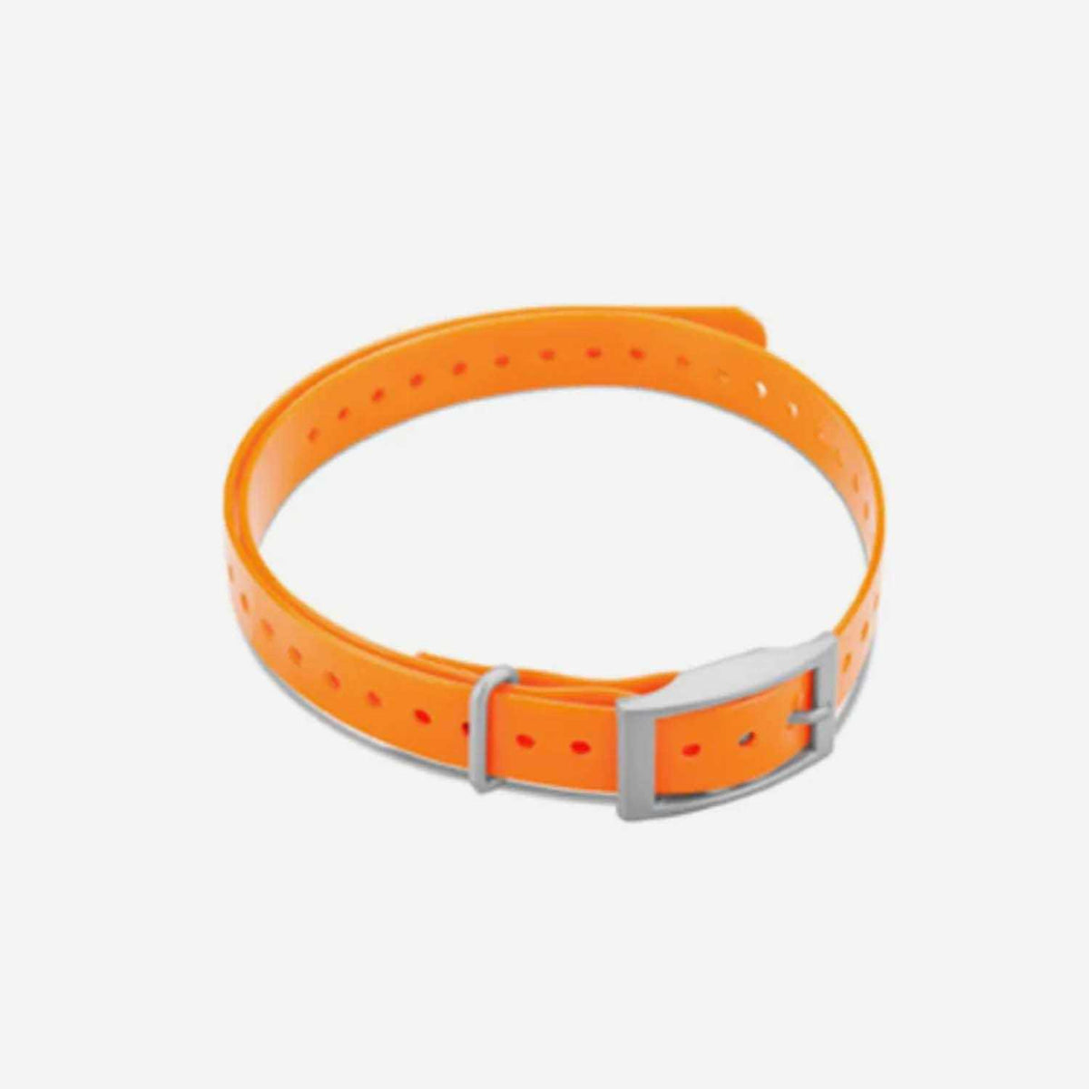 Collar Strap T986